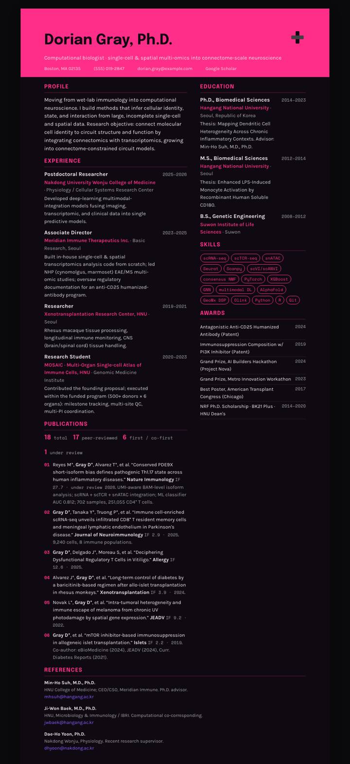 Magenta Wire Banner CV template preview