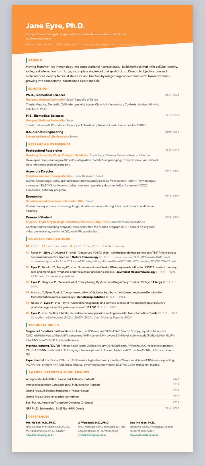 Tangerine Teal Diagonal CV template preview