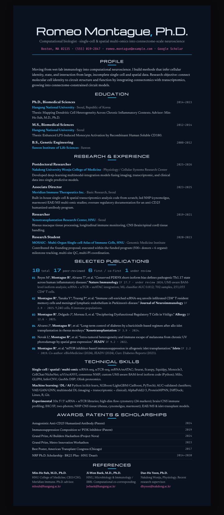 Ocean Night Centered CV template preview