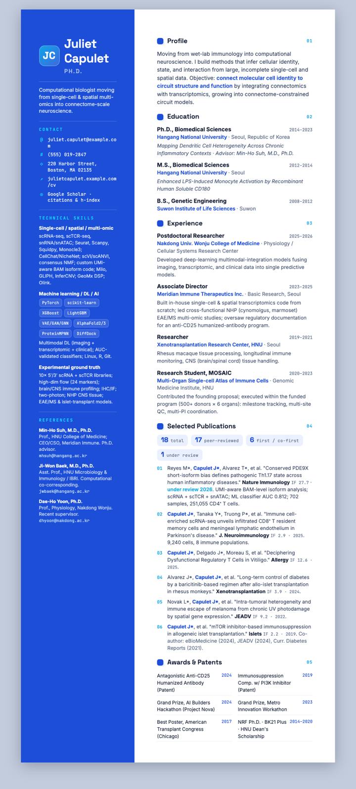 Cobalt Split CV template preview