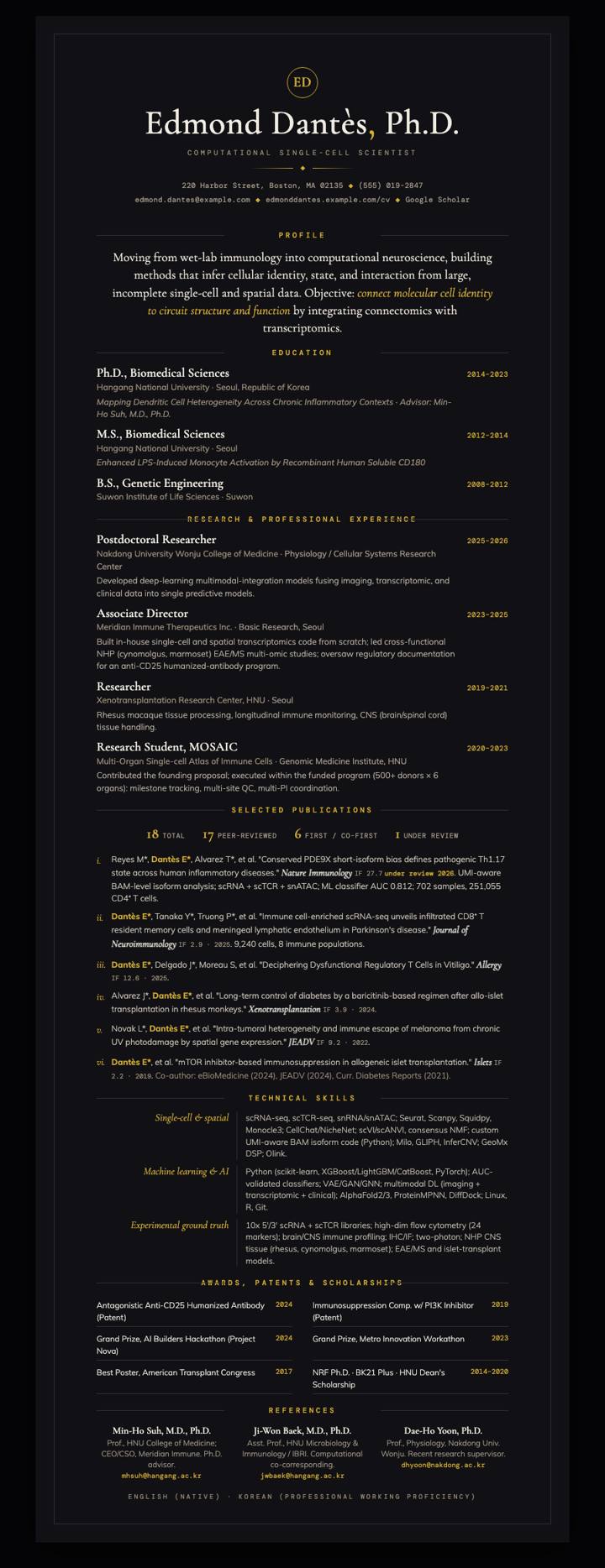 Noir Gold CV template preview