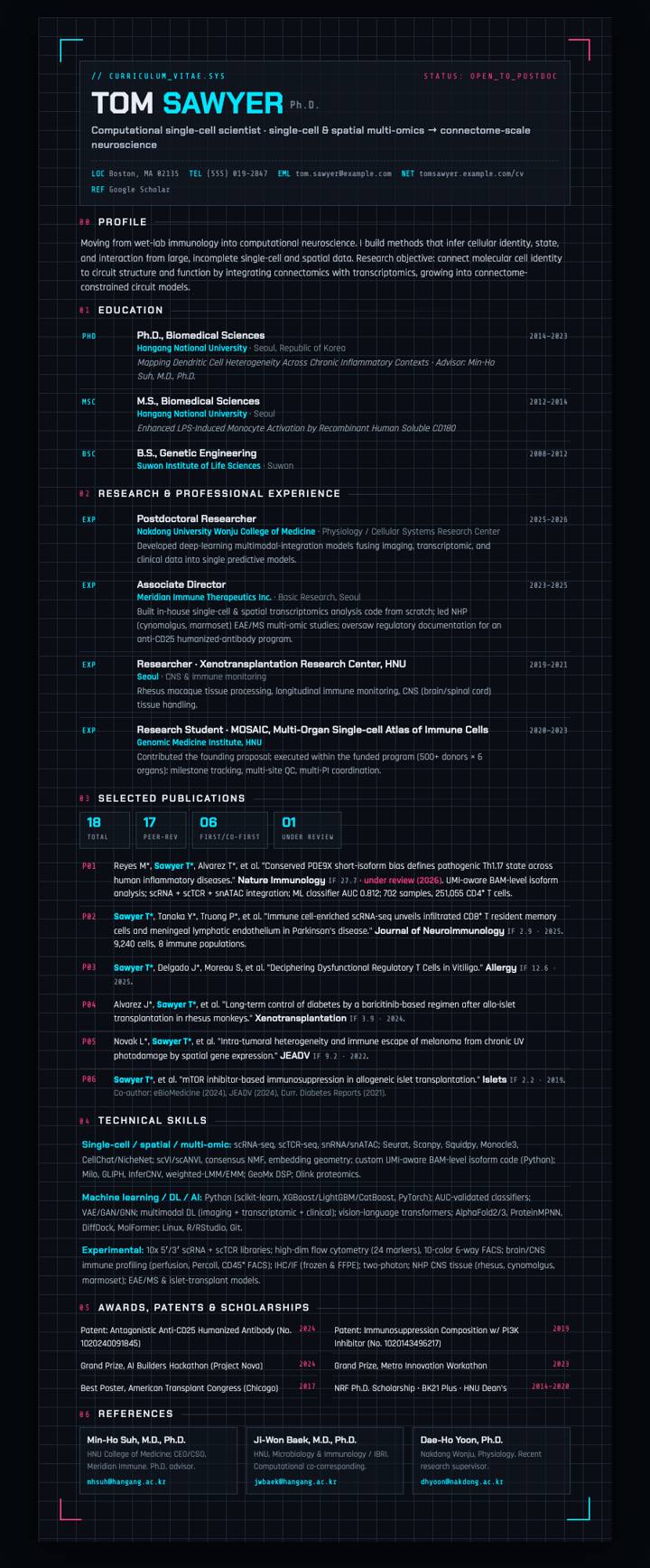 Electric Grid CV template preview