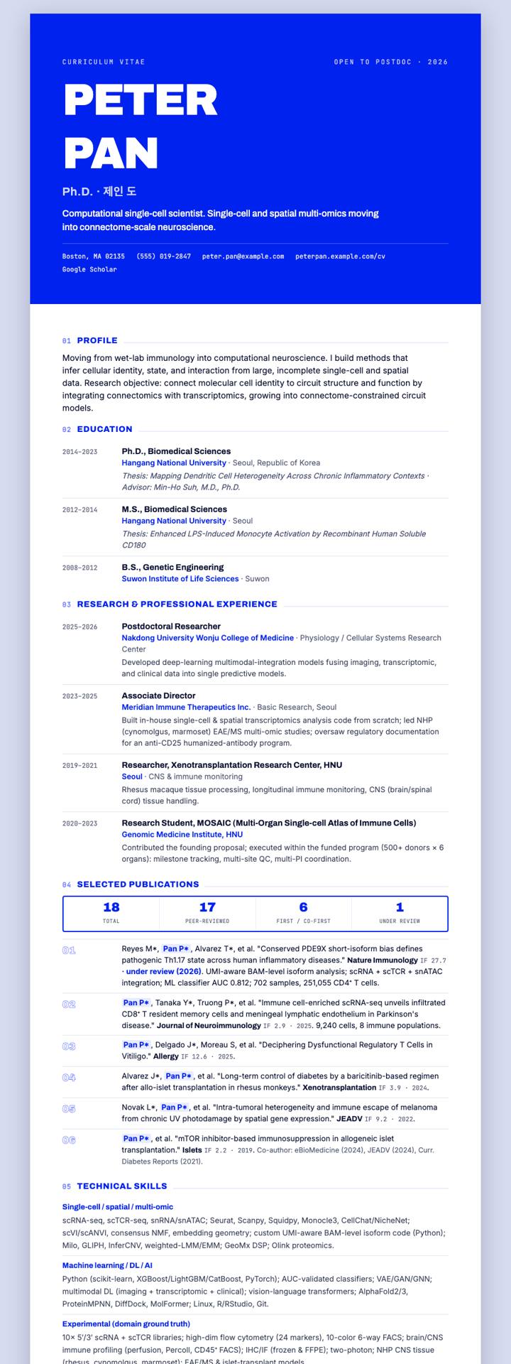 Klein Blue Hero CV template preview
