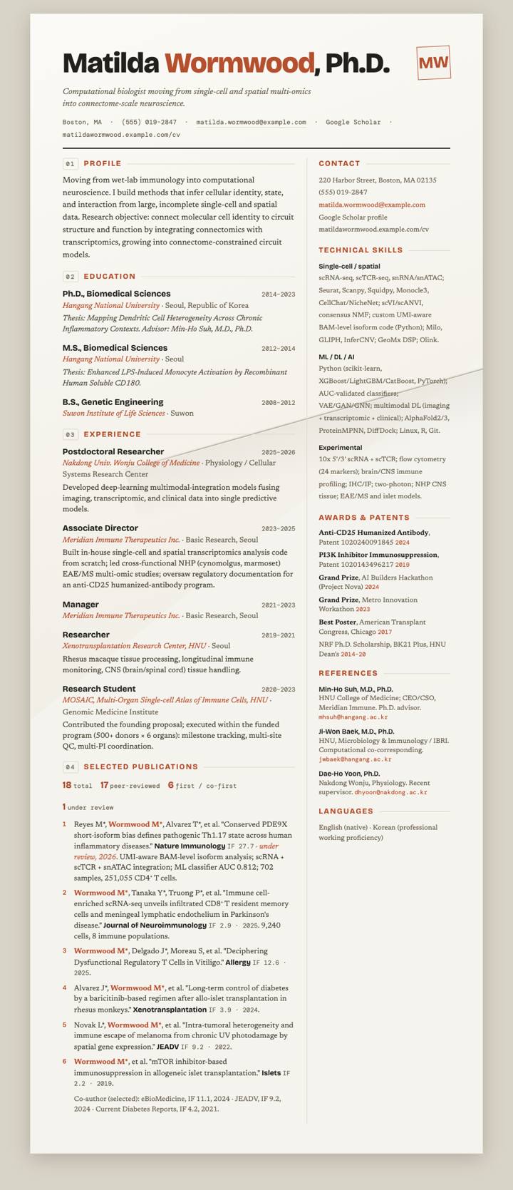 Paper Fold CV template preview