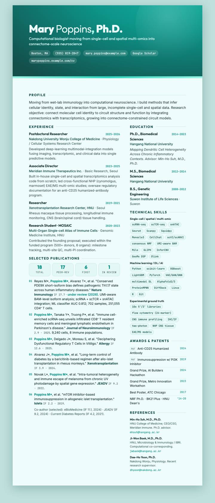 Teal Frost CV template preview