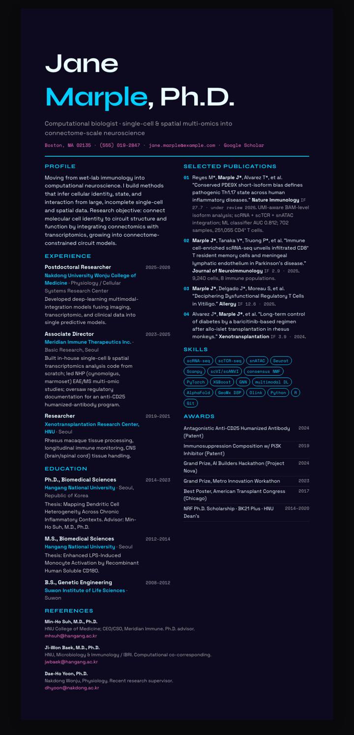 Holographic Y2K CV template preview