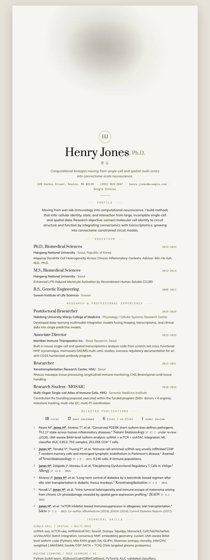 Ink Wash Serif CV template preview