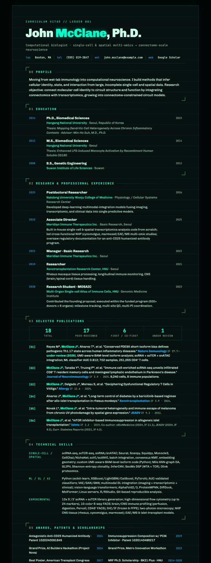 Neon Wire CV template preview