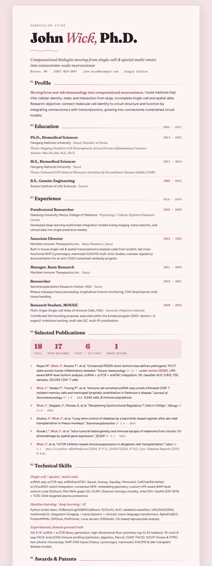 Blush Serif Modern CV template preview