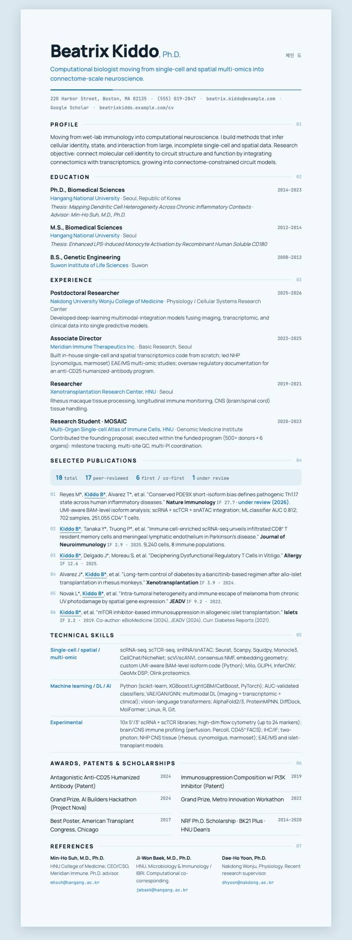Glacier Minimal CV template preview