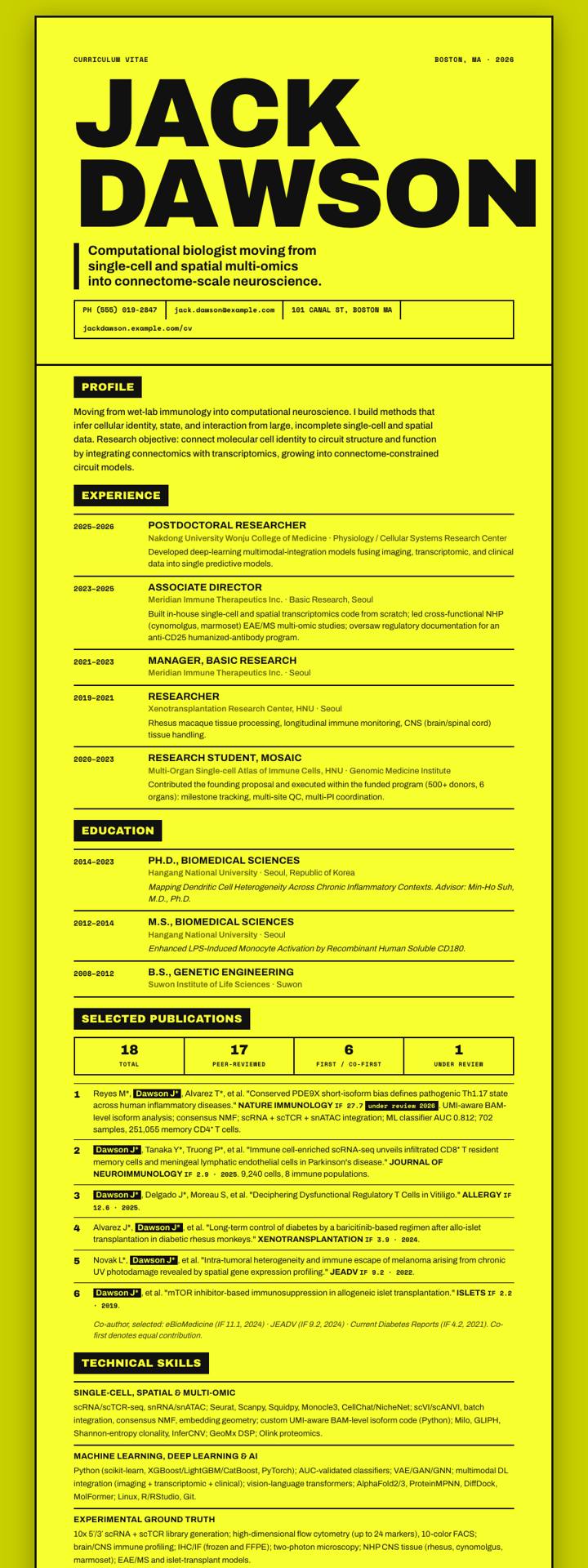 Acid Editorial CV template preview