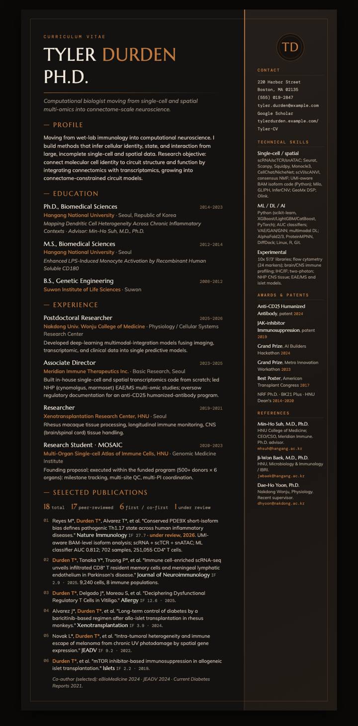 Copper Noir CV template preview