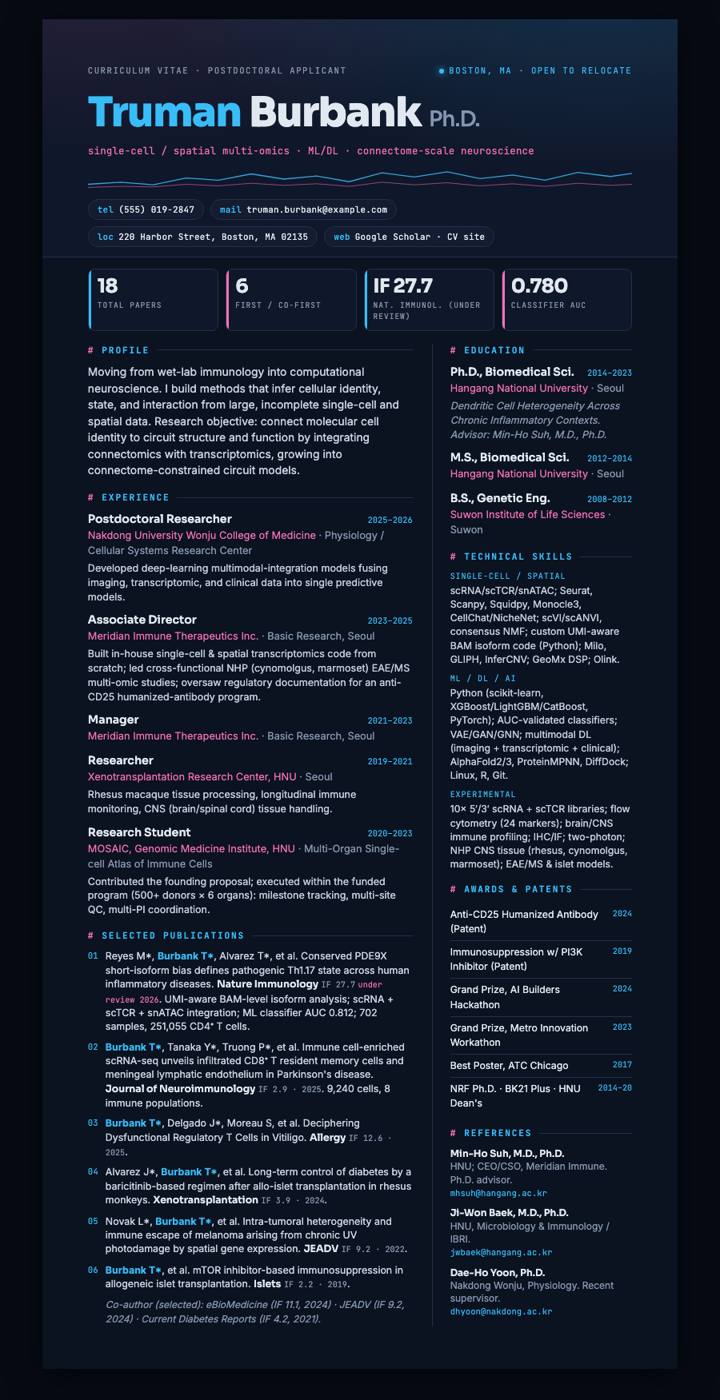 Midnight Data CV template preview