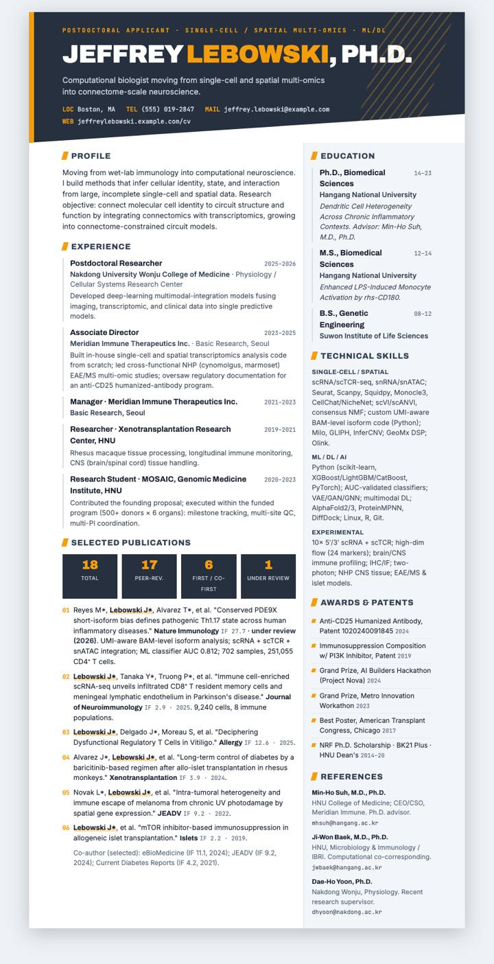 Steel Diagonal CV template preview