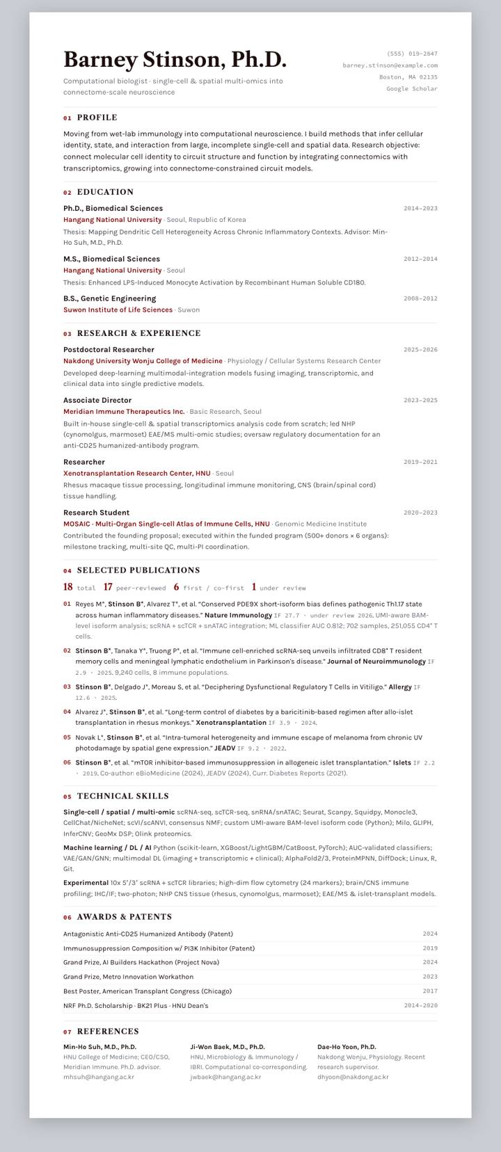 Chicago CV template preview