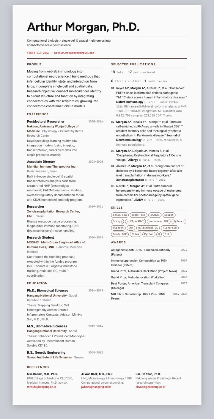 Brown CV template preview