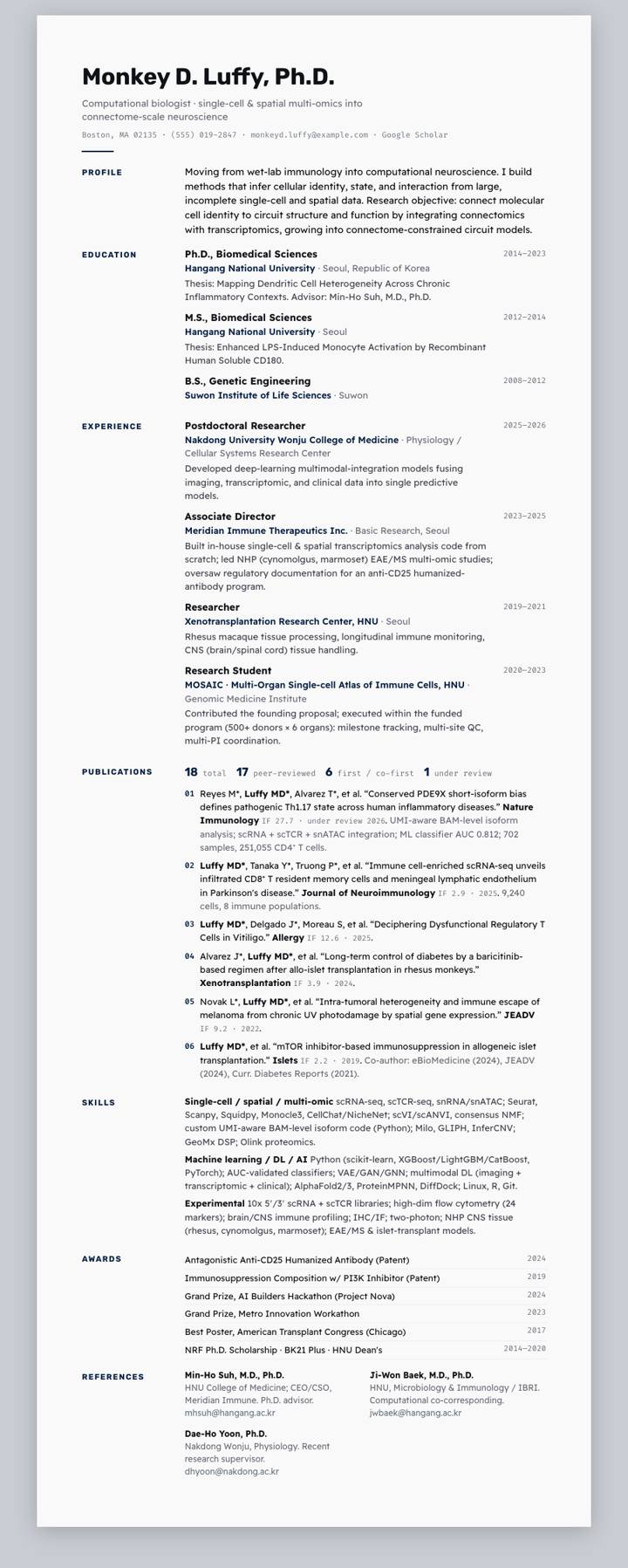 Georgetown CV template preview