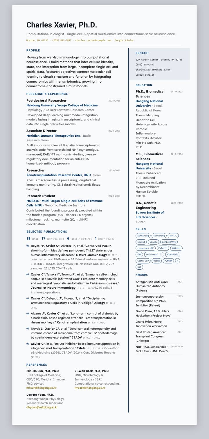 Rochester CV template preview