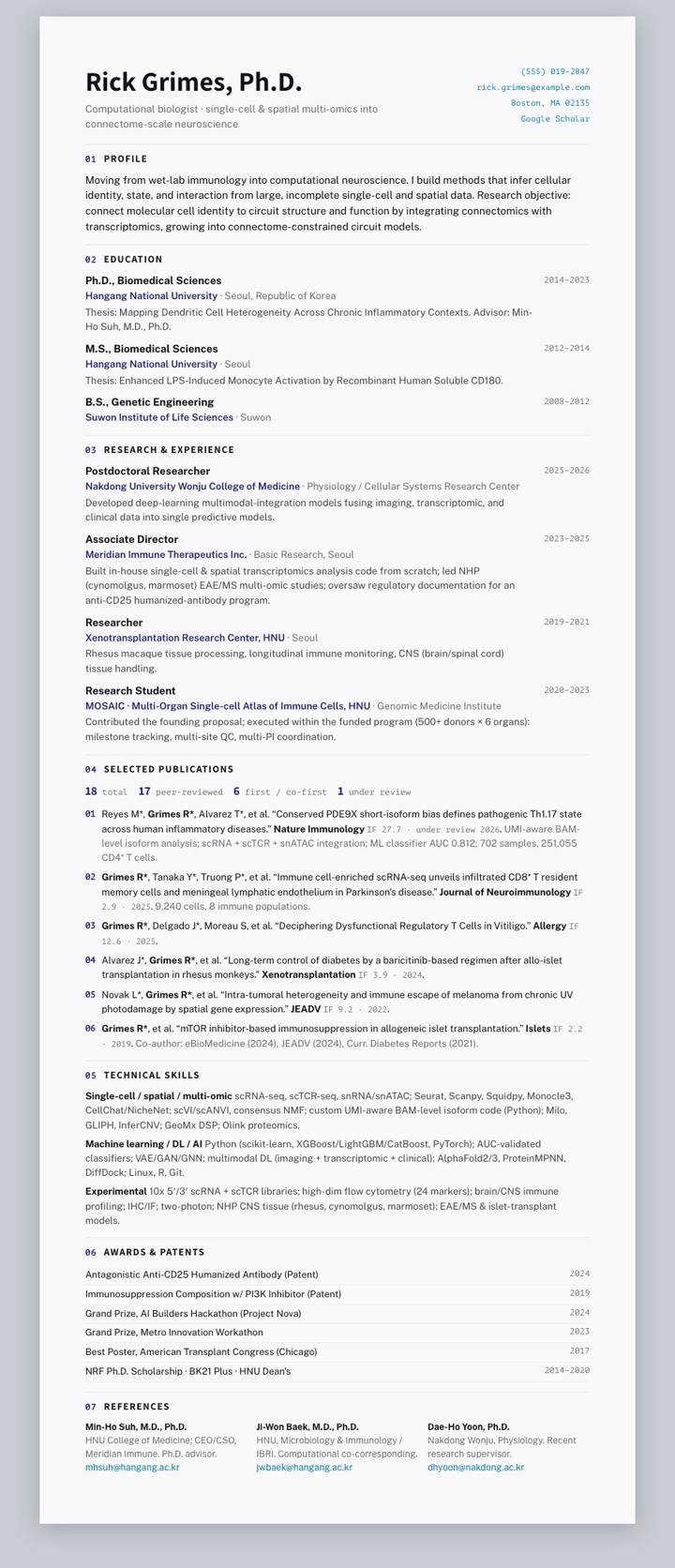 Mount Sinai CV template preview