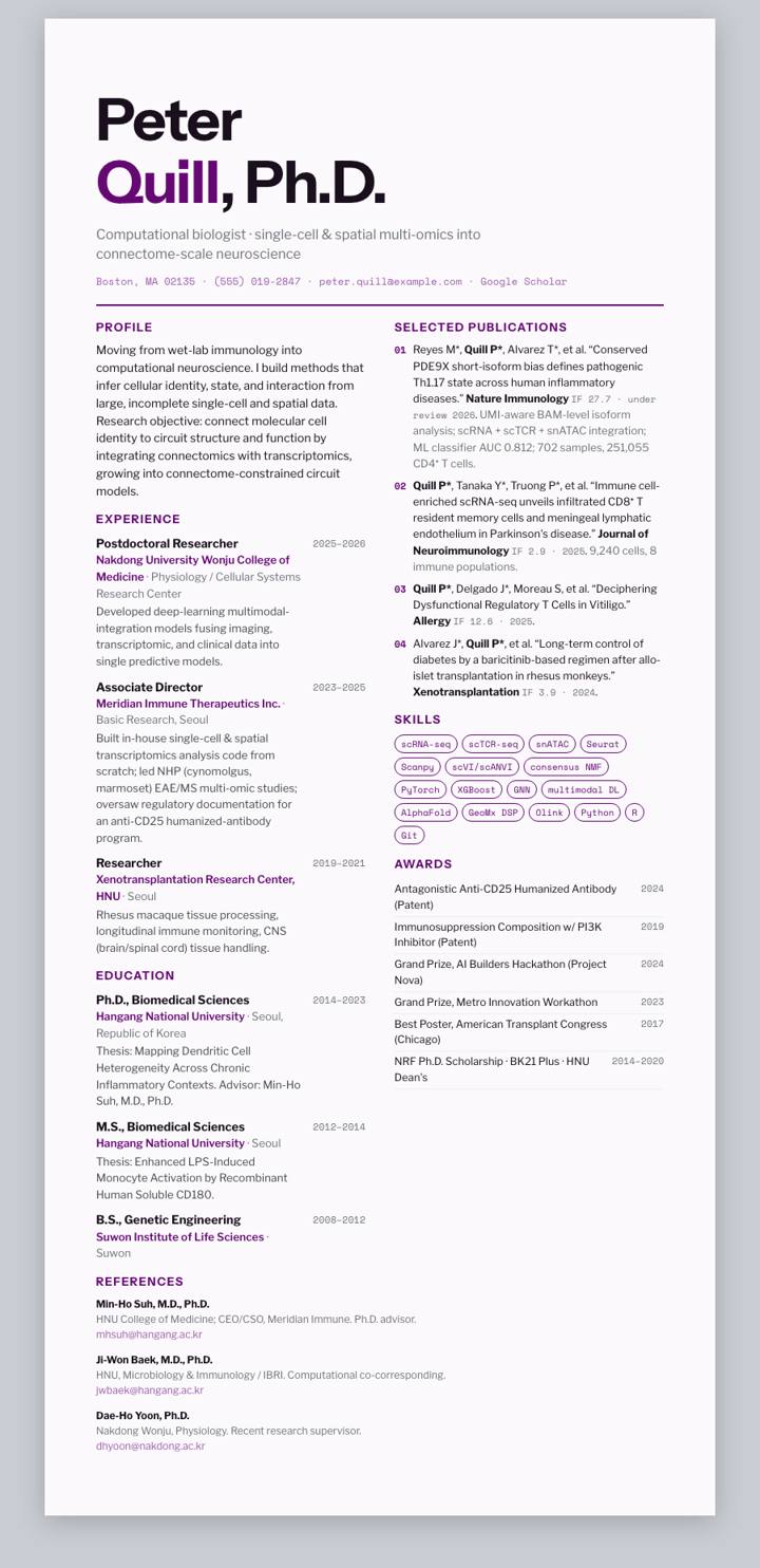 Tsinghua CV template preview