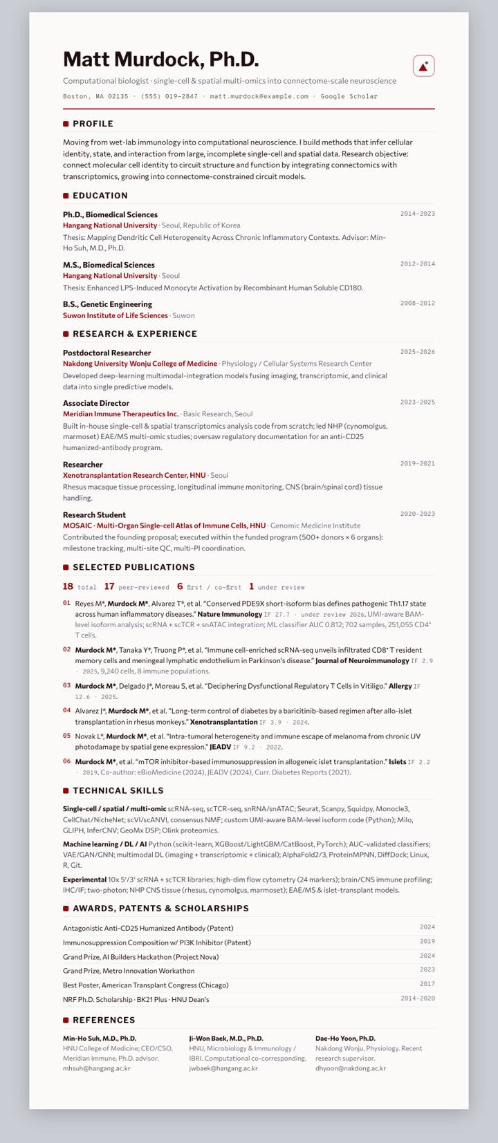 Peking CV template preview